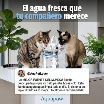 Fuente Bebedero para mascotas
